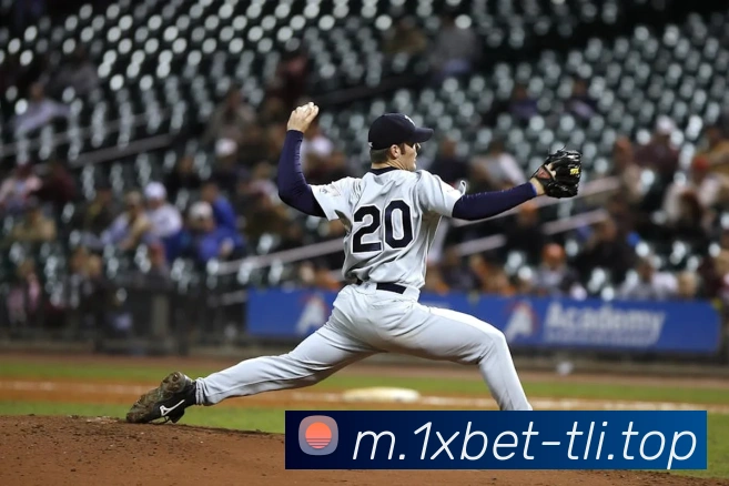 1xbet官网平台生态图